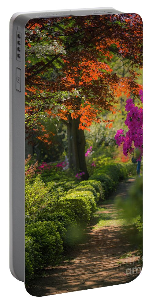 2016 Portable Battery Charger featuring the photograph Spring colors by Agnes Caruso