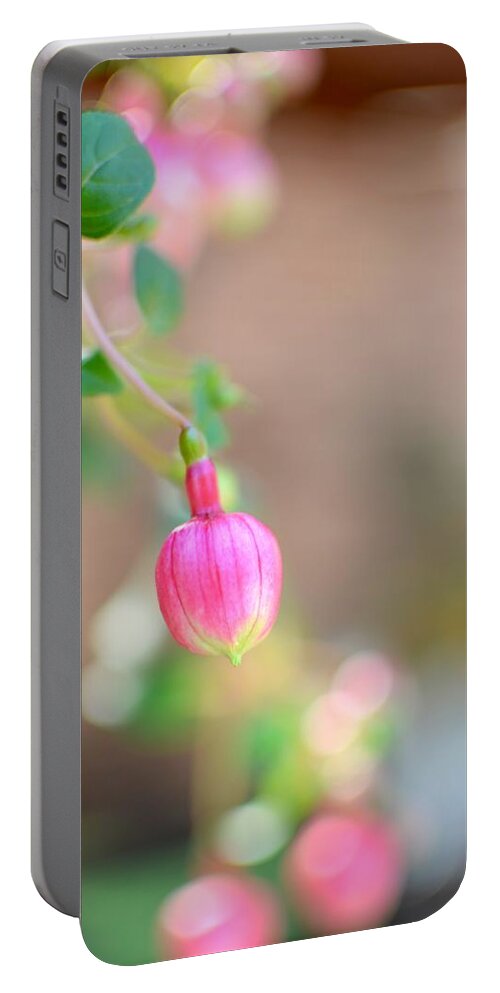 Flower Portable Battery Charger featuring the photograph Spring comes to South Carolina by Corinne Rhode