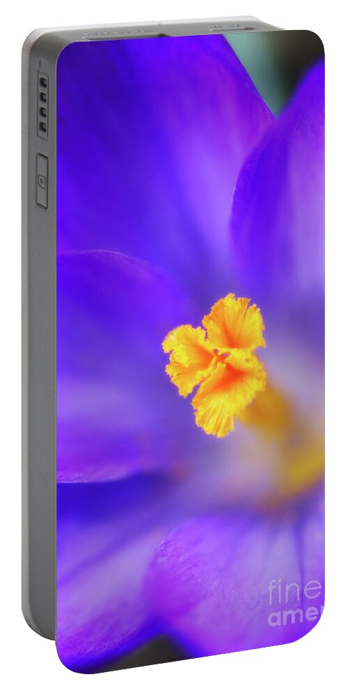 Botanical Portable Battery Charger featuring the photograph Spring Crocus by Venetta Archer