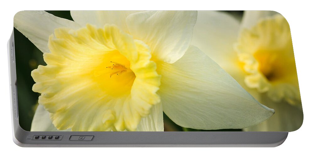 Illinois Portable Battery Charger featuring the photograph Spring Daffodils by Joni Eskridge