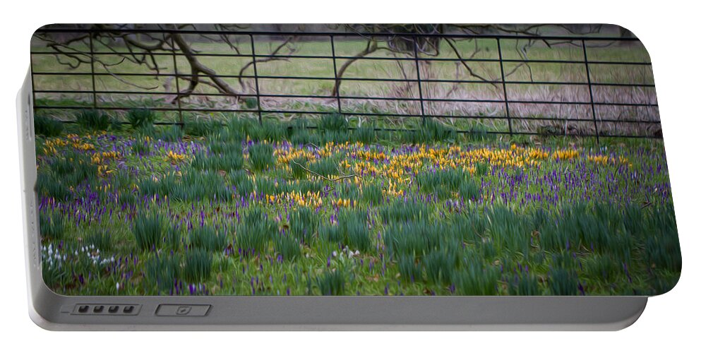Clare Bambers Portable Battery Charger featuring the photograph Spring Flowers by Clare Bambers