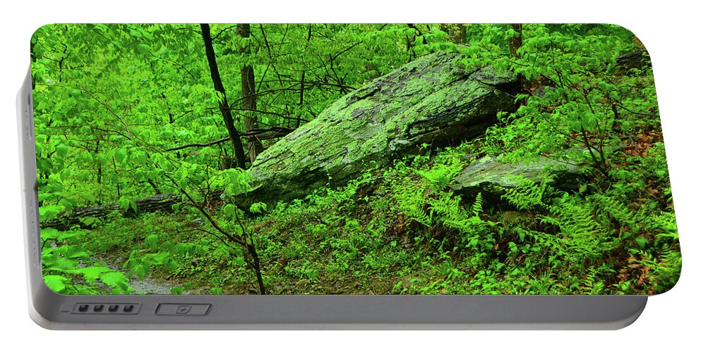 Spring Green In West Virginia Portable Battery Charger featuring the photograph Spring Green in West Virginia by Raymond Salani III