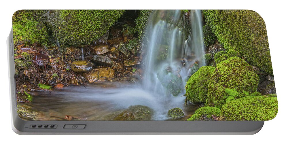 Spring Portable Battery Charger featuring the photograph Spring Has Sprung A Study 0f Moss And Water by Angelo Marcialis