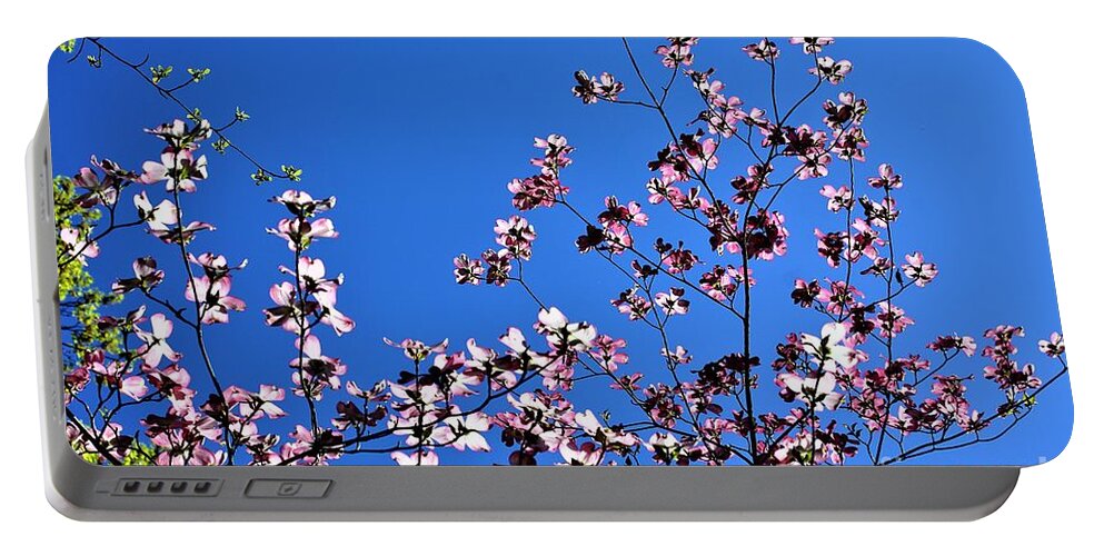 Springtime Portable Battery Charger featuring the photograph Spring in Louisville by Merle Grenz