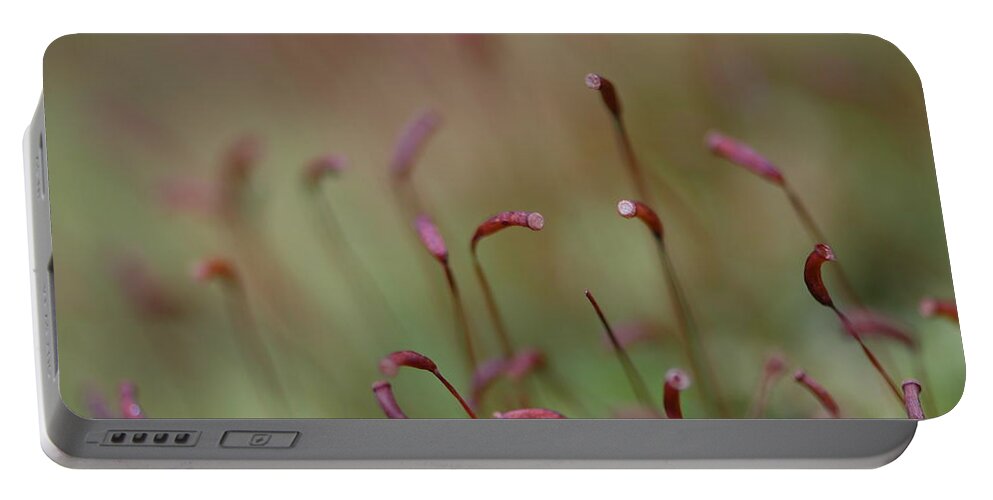 Spring Portable Battery Charger featuring the photograph Spring Macro5 by Jeff Burgess