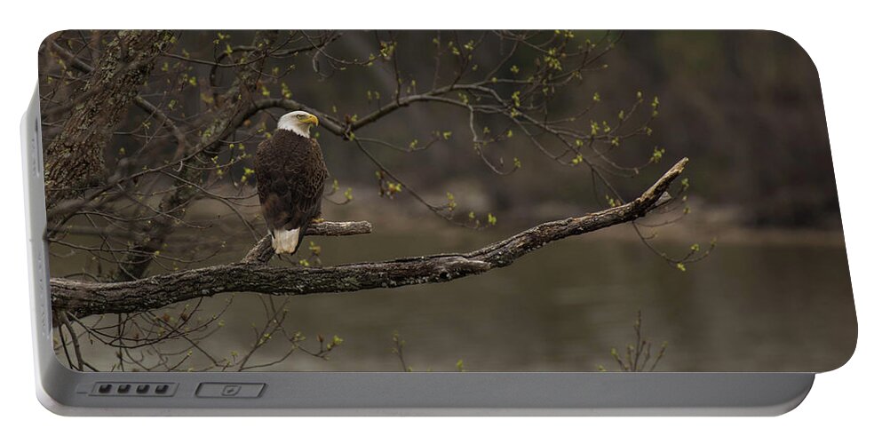 Bird Portable Battery Charger featuring the photograph Spring on the Potomac by Jody Partin