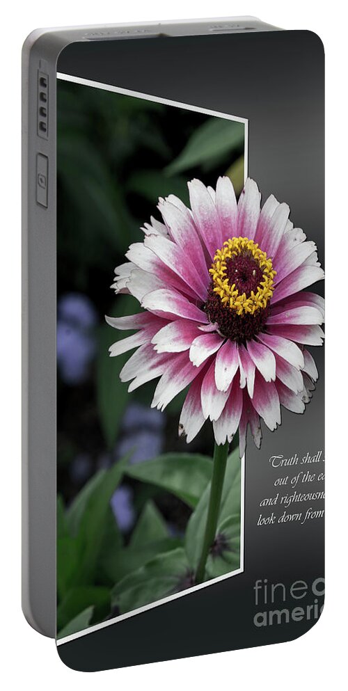 Flower Portable Battery Charger featuring the photograph Spring out by Deborah Klubertanz