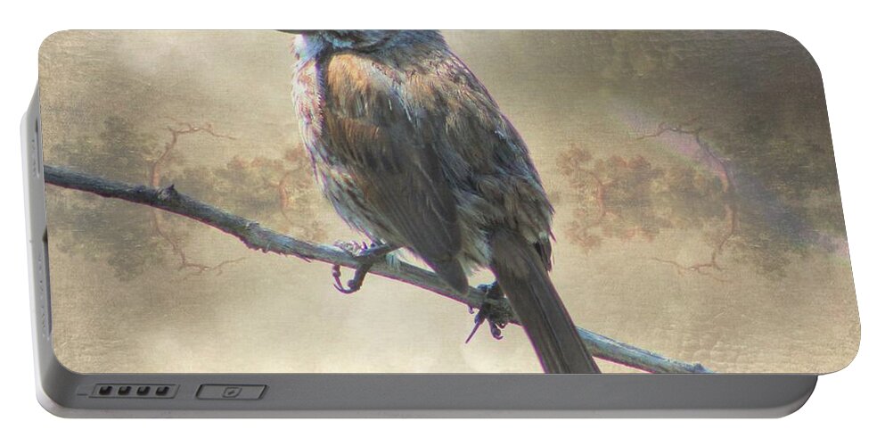 Bird Portable Battery Charger featuring the photograph Spring Perch by Kathy Bassett