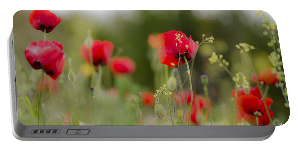 Poppy Portable Battery Charger featuring the digital art Spring Poppies by Perry Van Munster