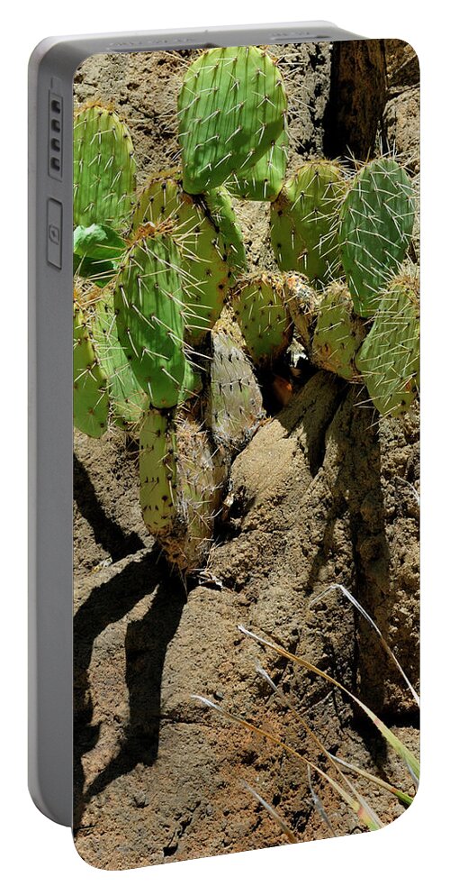 Landscape Portable Battery Charger featuring the photograph Spring Refreshment by Ron Cline