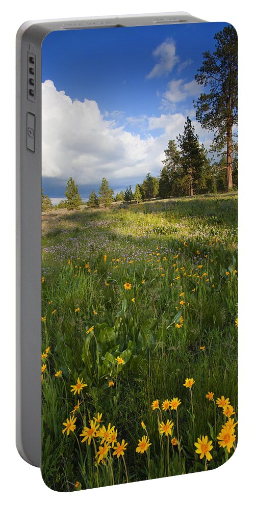 Meadow Portable Battery Charger featuring the photograph Spring Shadows by Michael Dawson