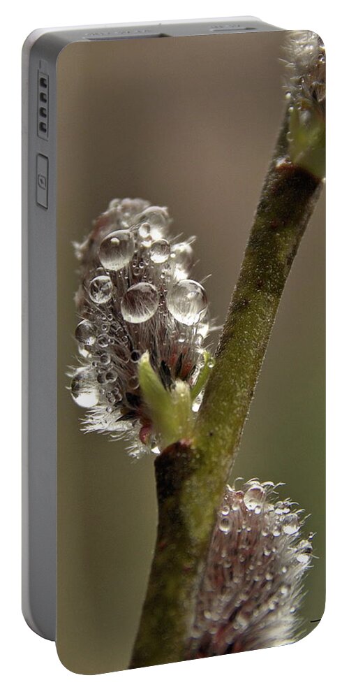 Flowers Portable Battery Charger featuring the photograph Spring Showers by Harry Moulton