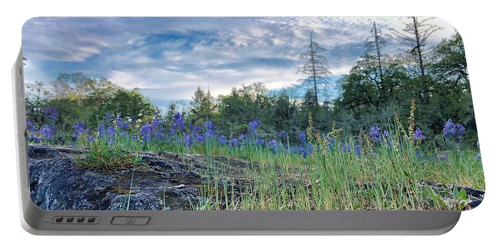 Sky Portable Battery Charger featuring the photograph Spring Sky by Brian Eberly