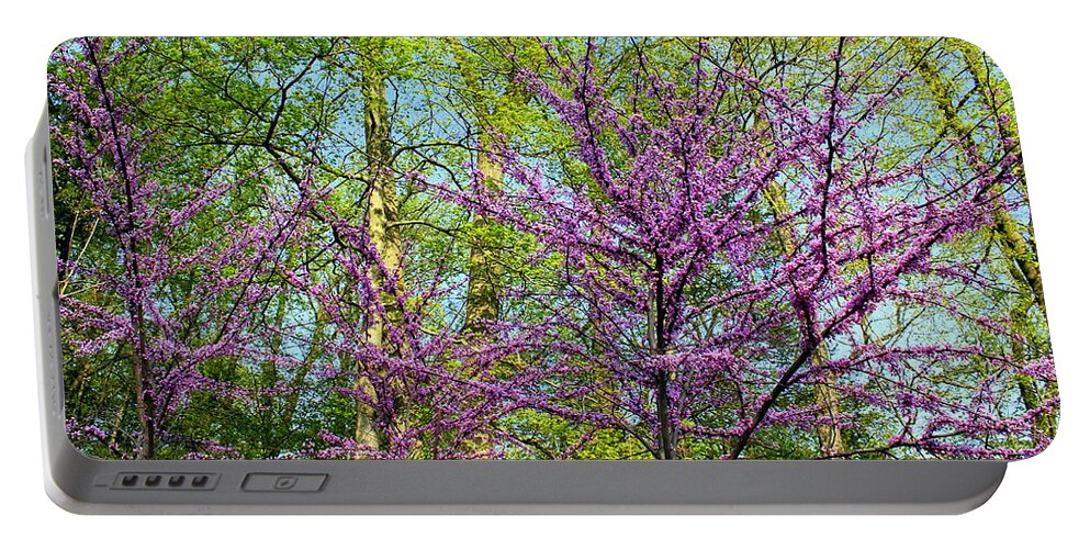 Spring Portable Battery Charger featuring the photograph Spring Splatter by Deborah Crew-Johnson