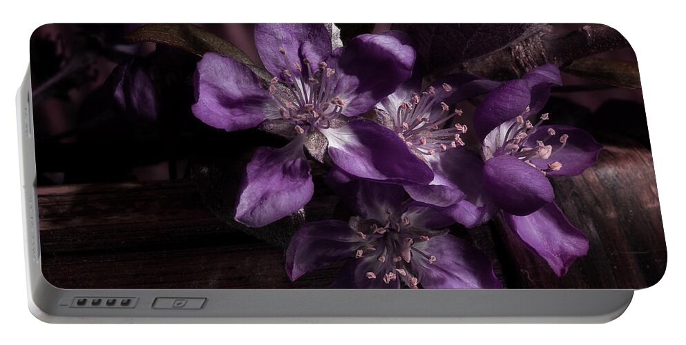 Flower Portable Battery Charger featuring the photograph Spring Time Fun by Mike Eingle