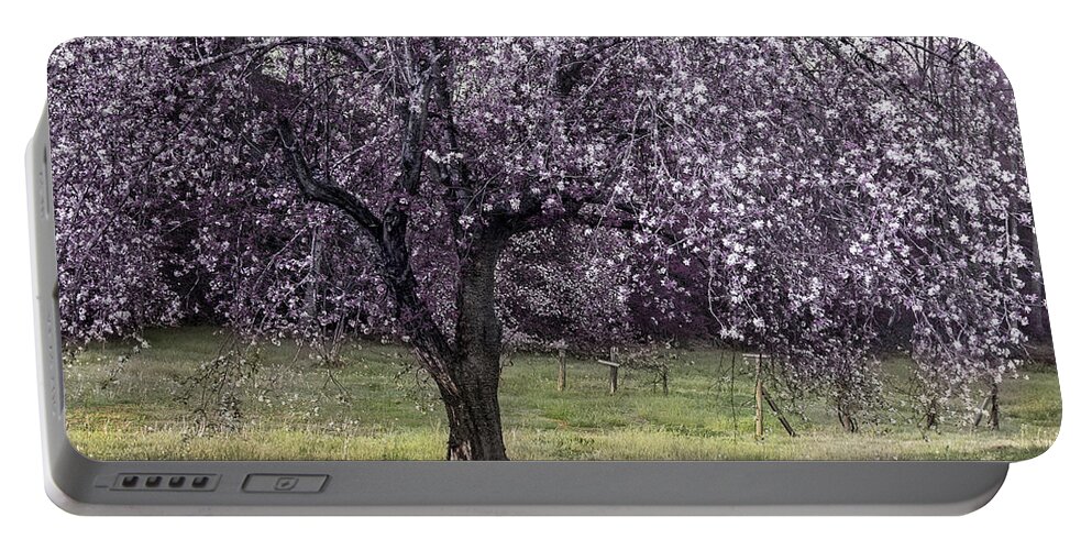 Apple Tree Portable Battery Charger featuring the photograph Spring Time In The Country by Mike Eingle