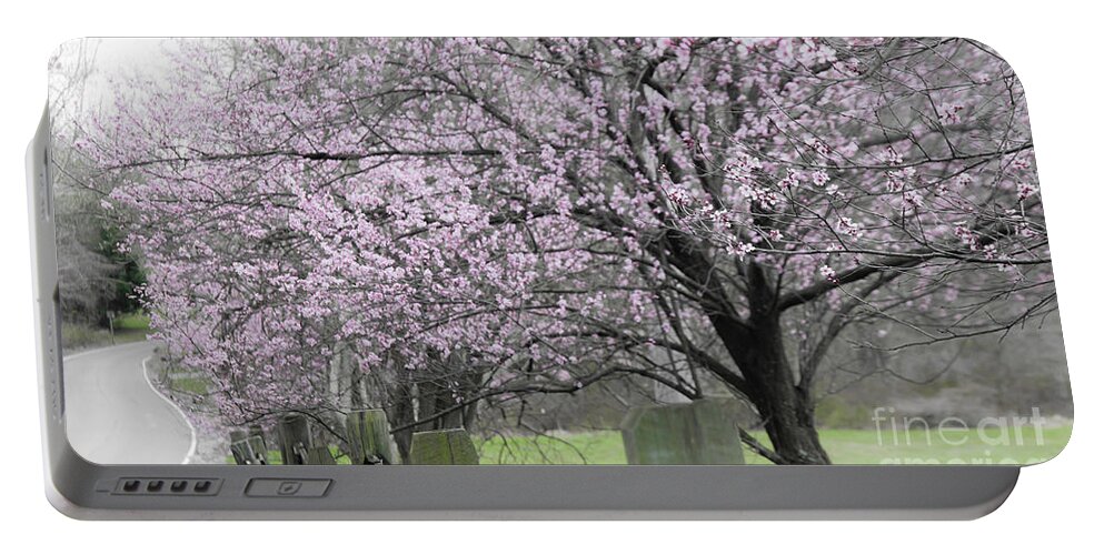 Virginia Portable Battery Charger featuring the photograph Spring trees by Agnes Caruso