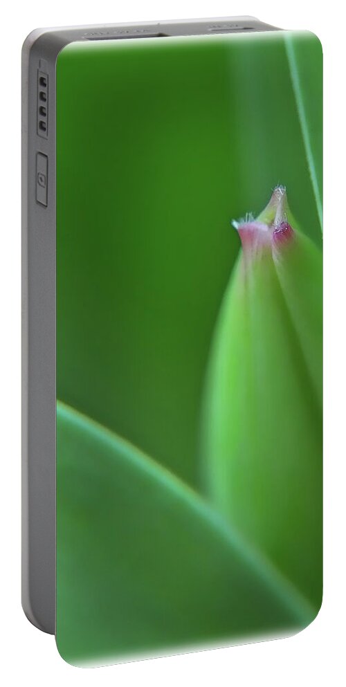 Flower Portable Battery Charger featuring the photograph Spring Tulip by Susan Cliett