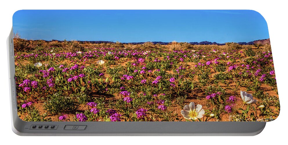 Arizona Portable Battery Charger featuring the photograph Springtime In The Sonoran Desert by Robert Bales