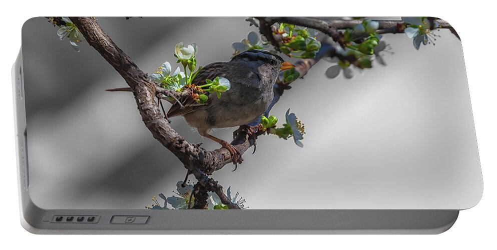 Nature Portable Battery Charger featuring the photograph Springtime by Jonathan Nguyen