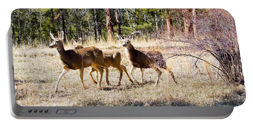 Deer Portable Battery Charger featuring the photograph Springtime Mule Deer in the Pike National Forest by Steven Krull