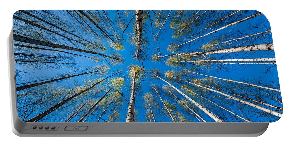 Springtime Portable Battery Charger featuring the photograph Springtime by Torbjorn Swenelius