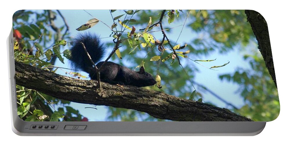 Squirrel Portable Battery Charger featuring the photograph Squirrel Adventure by Ee Photography