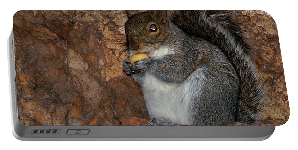 Squirrell Portable Battery Charger featuring the photograph Squirrell by Pedro Cardona Llambias