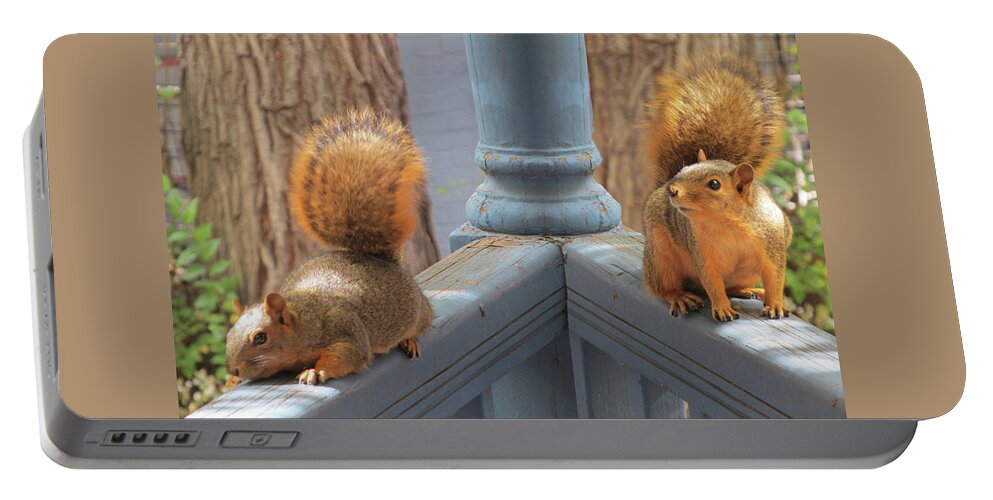 Squirrels Portable Battery Charger featuring the digital art Squirrels Balancing on a Railing by Julia L Wright