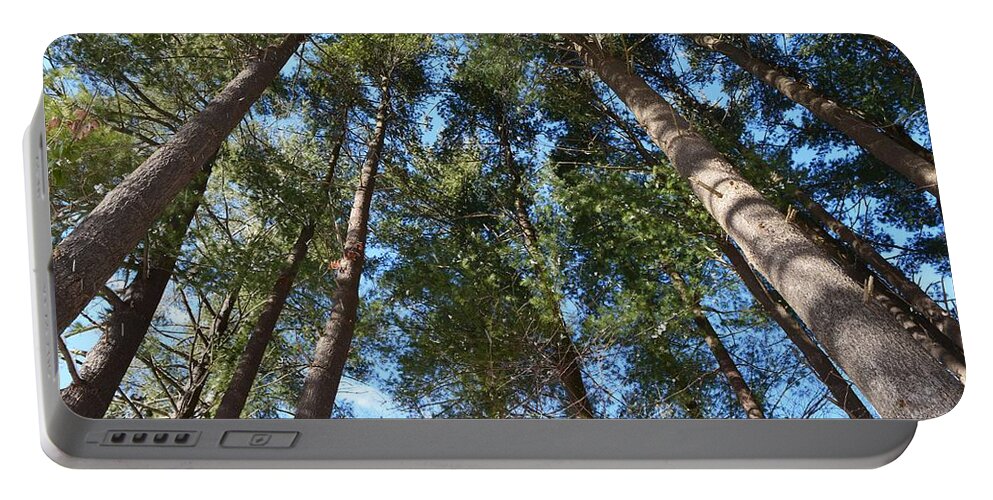 Trees Portable Battery Charger featuring the photograph Squirrels Highway by Dani McEvoy