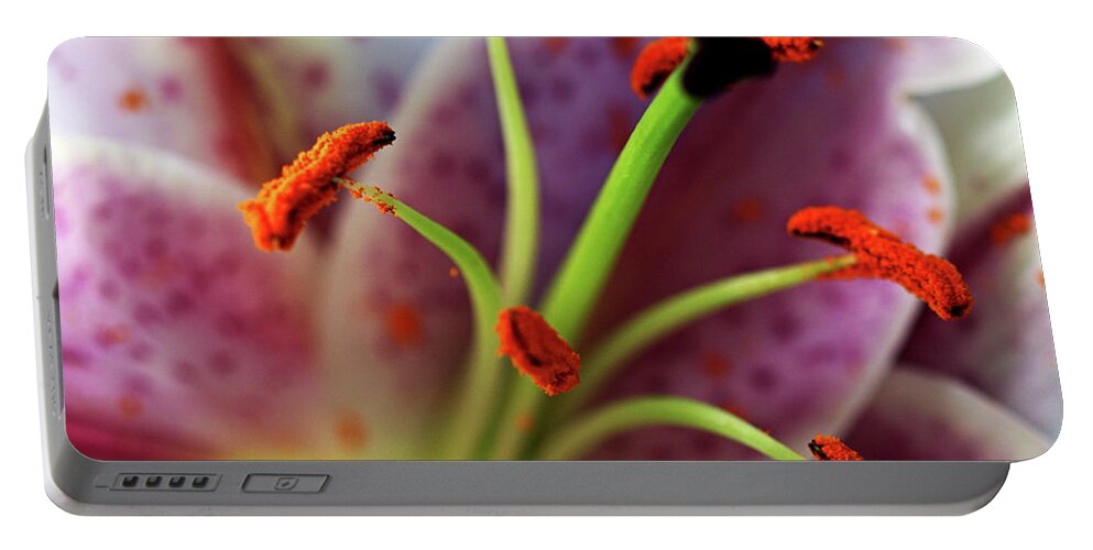 Flower Portable Battery Charger featuring the photograph Stargazer Macro by Stephen Melia