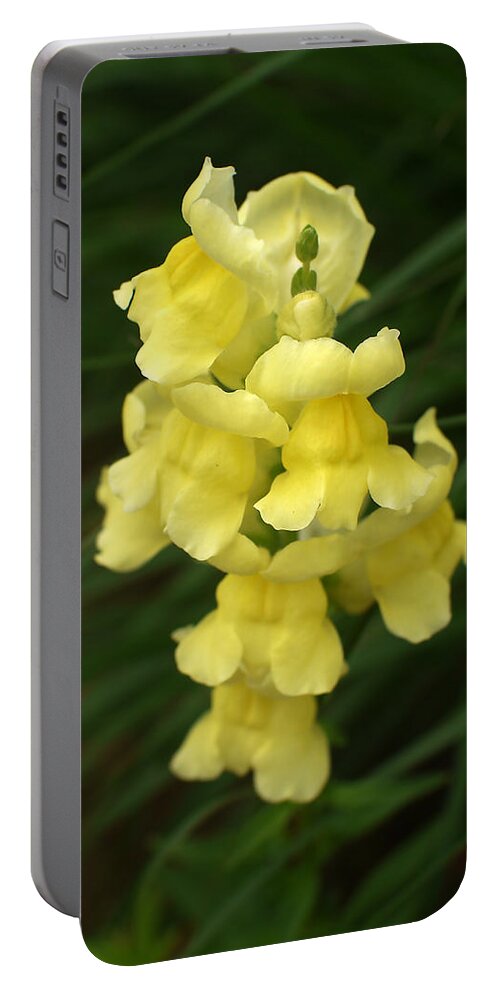 Flower Portable Battery Charger featuring the photograph St. Johns Flower 866 by Wesley Elsberry