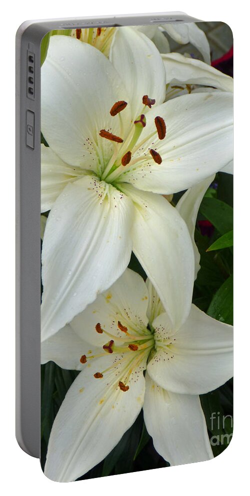 Lily Portable Battery Charger featuring the photograph Stacked White Lilies by Sonya Chalmers
