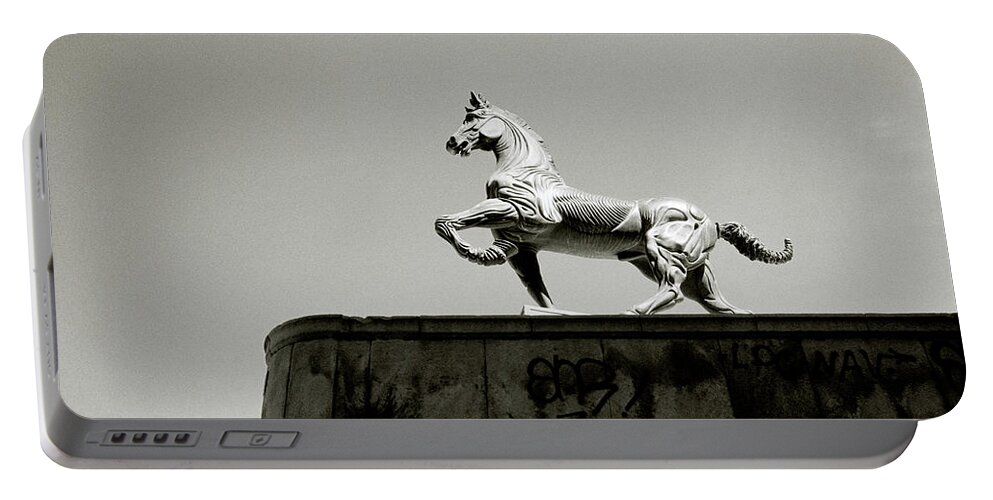 Horse Portable Battery Charger featuring the photograph Stallion In Motion by Shaun Higson