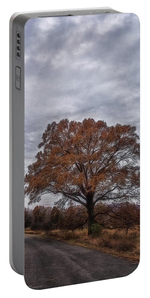 Fall Portable Battery Charger featuring the photograph Standing Alone by Erika Fawcett