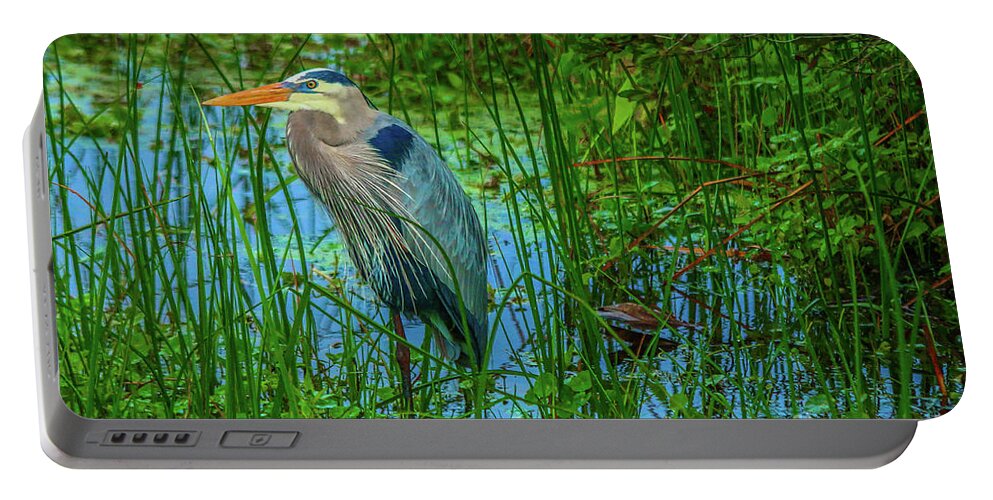 Heron Portable Battery Charger featuring the photograph Standing Heron #1 by Tom Claud