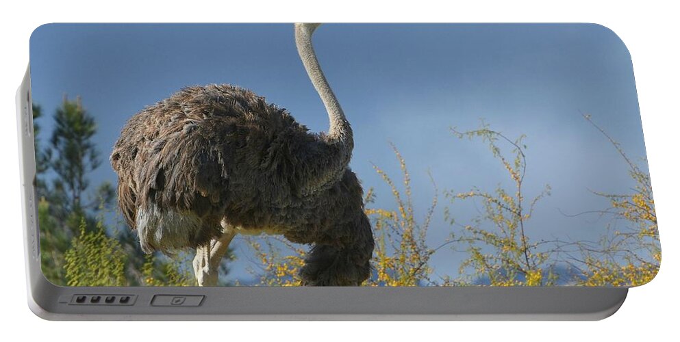 Ostrich Portable Battery Charger featuring the photograph Standing Tall by Fraida Gutovich