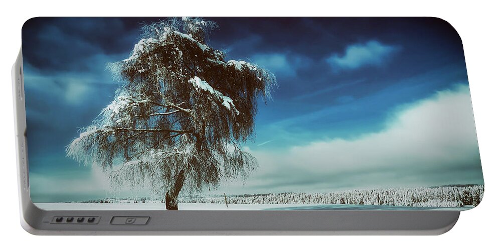 Tree Portable Battery Charger featuring the photograph Standing Tall In Winter by Mountain Dreams