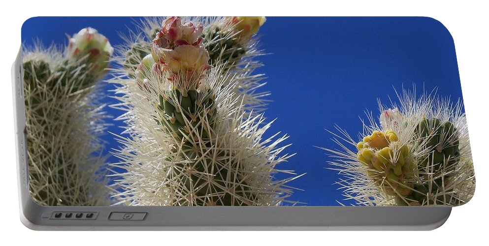 Desert Portable Battery Charger featuring the photograph Standing Up by Kathleen Maconachy