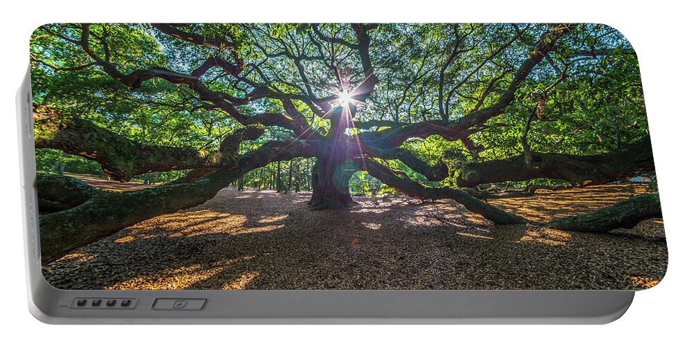 Angel Oak Portable Battery Charger featuring the photograph Star Struck by Bryan Xavier