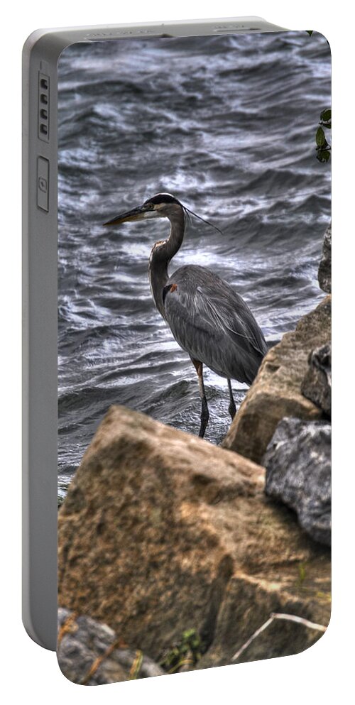 Buffalo Portable Battery Charger featuring the photograph Staren Blue Heron by Michael Frank Jr