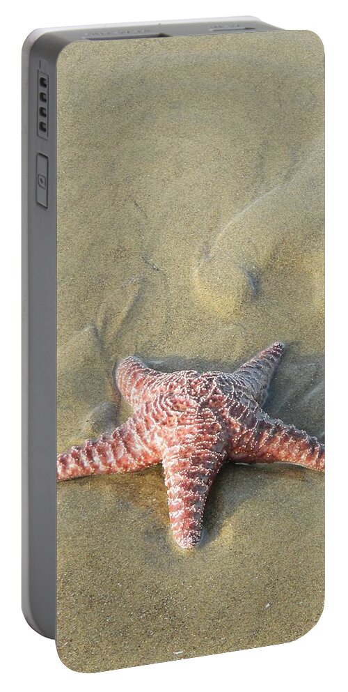 Sunflower Portable Battery Charger featuring the photograph Starfish With Sand Designs by Gallery Of Hope 