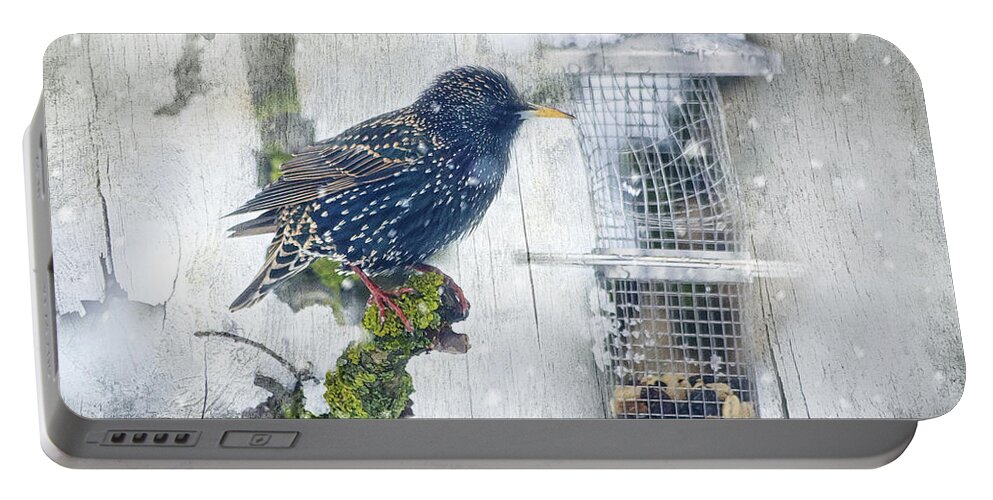 Photo Portable Battery Charger featuring the photograph Starling Meets Snowflakes by Jutta Maria Pusl