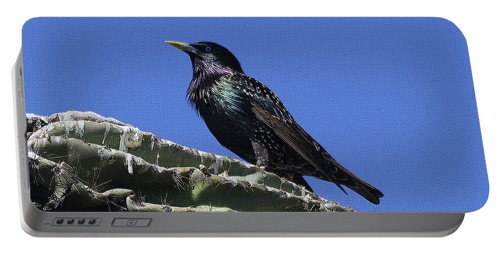 Starling On Saguaro Arm Portable Battery Charger featuring the photograph Starling On Saguaro Arm by Tom Janca