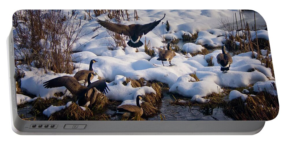 Canada Geese Portable Battery Charger featuring the photograph Staying Put by Albert Seger