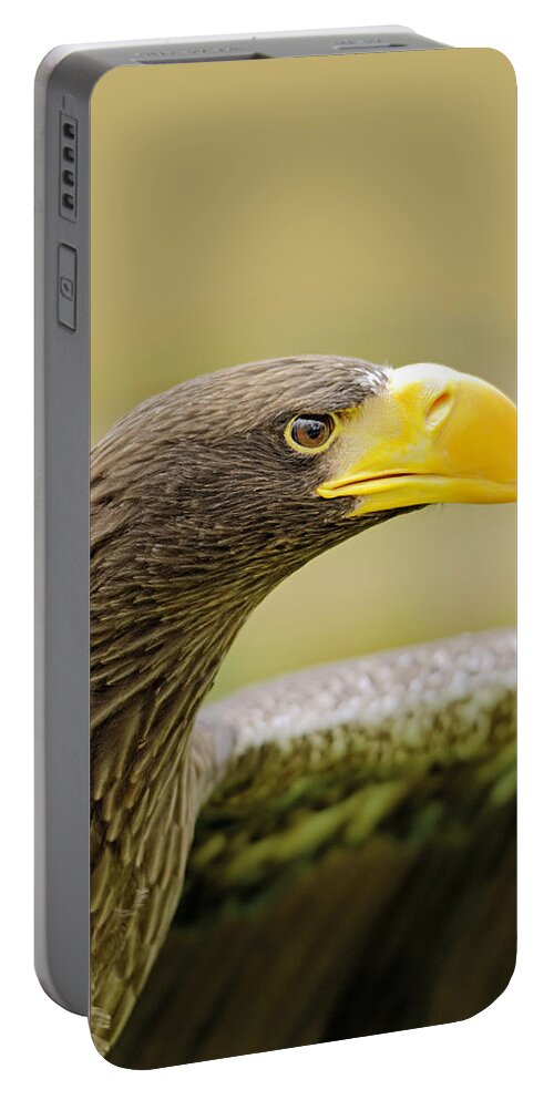 Britain Portable Battery Charger featuring the photograph Steller's Sea Eagle - Haliaeetus pelagicus by Rod Johnson