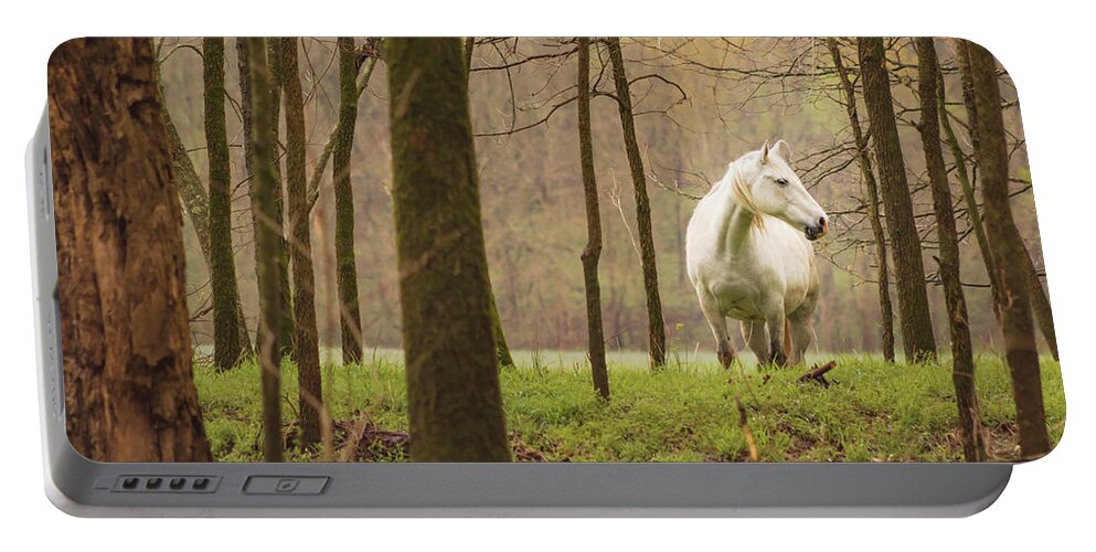 Missouri Wild Horses Portable Battery Charger featuring the photograph Stepping into the Wild by Holly Ross