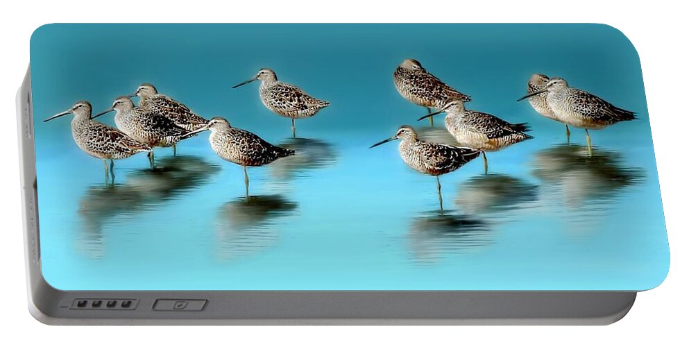 Dowitcher Portable Battery Charger featuring the photograph Still Awareness by Barbara Chichester