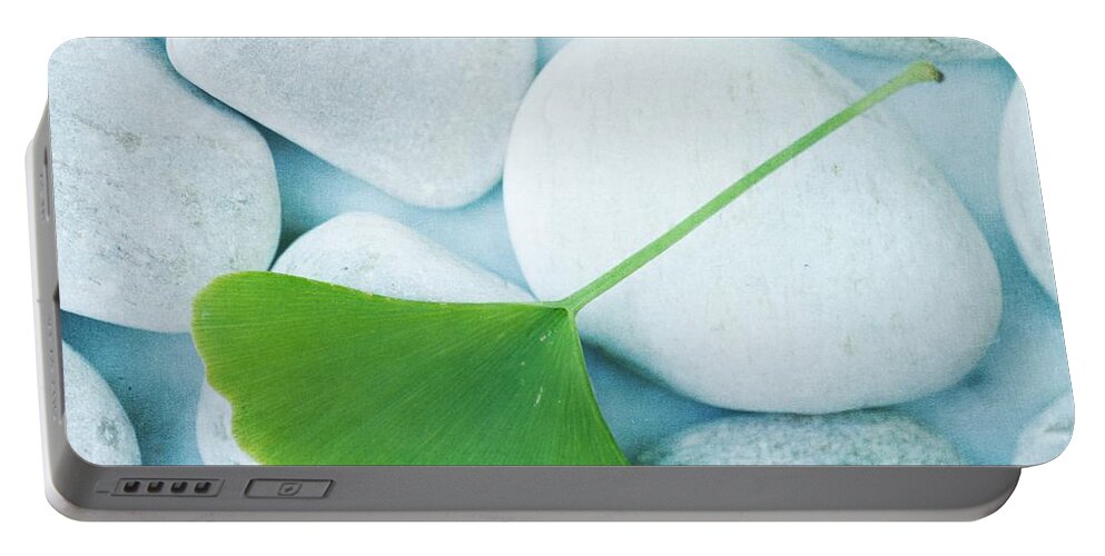 Priska Wettstein Portable Battery Charger featuring the photograph Stones And A Gingko Leaf by Priska Wettstein