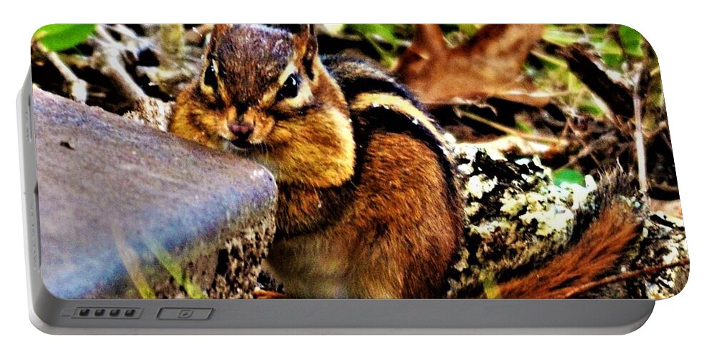 Chipmunk Portable Battery Charger featuring the photograph Storing for Winter by Chuck Brown